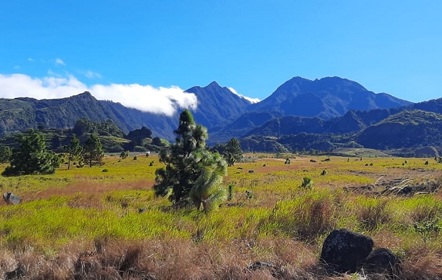 volcan-baru-panama.jpg Vista del Parque Nacional Volcán Barú. Foto: MiAmbiente