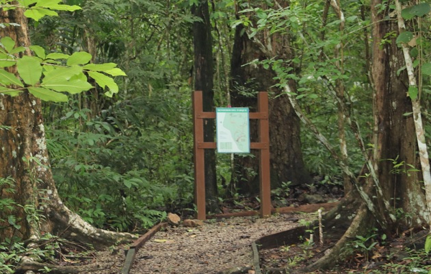 parque-metropolitano-panama.jpg El parque Metropolitano ofrece conexión total con la naturaleza.