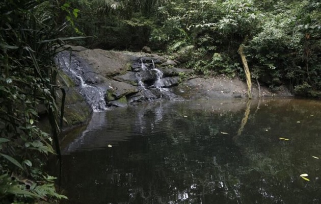 soberania-panama-area.jpg Vista del sendero El Chorro en el parque Soberanía.