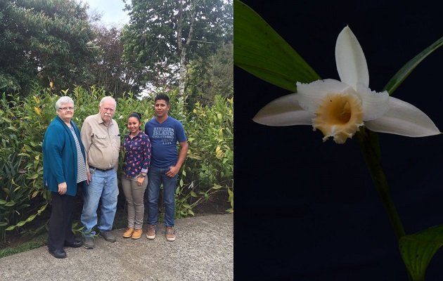 sobralia-orquidea-panama.jpg De derecha a izquierda: Zabdy Samudio, Zuleika Serracín, Robert Dressler (q.e.p.d) y su esposa Kerry.