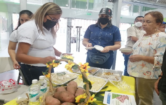 Los productores han manifestado que esta variedad da buenos resultados por hectárea, es resistente a plagas y de muy buen sabor. Foto. Thays Domínguez Los productores han manifestado que esta variedad da buenos resultados por hectárea, es resistente a plagas y de muy buen sabor. Foto. Thays Domínguez