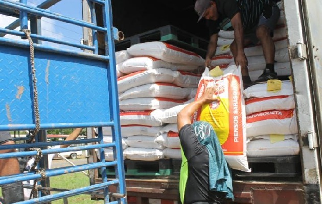 Entregaron 500 quintales de alimento para cerdos a los productores afectados, principalmente en La Villa de Los Santos. Foto. Thays Domínguez Entregaron 500 quintales de alimento para cerdos a los productores afectados, principalmente en La Villa de Los Santos. Foto. Thays Domínguez