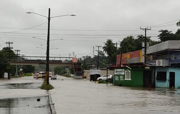lluvis_colon-pa1.jpg