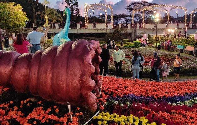 Los jardines están preparados por las expertas manos de los trabajadores del campo, para que estén en plena floración para la fecha de la feria. Foto Cortesía Los jardines están preparados por las expertas manos de los trabajadores del campo, para que estén en plena floración para la fecha de la feria. Foto Cortesía