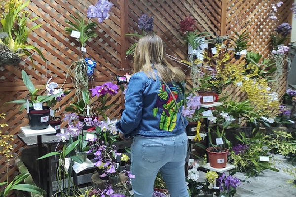 Además del espectáculo floral, el público podrá disfrutar de actividades culturales y musicales en la tarima “Los Quetzales” con artistas y conjuntos folklóricos. Además del espectáculo floral, el público podrá disfrutar de actividades culturales y musicales en la tarima “Los Quetzales” con artistas y conjuntos folklóricos.