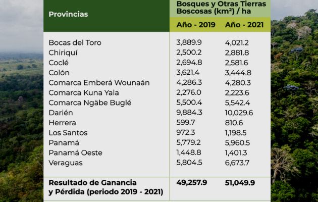 Panamá celebra el Día Internacional de los Bosques. Foto: Cortesía Panamá celebra el Día Internacional de los Bosques. Foto: Cortesía