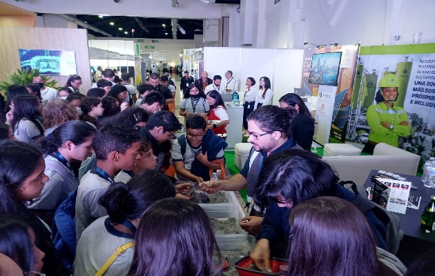 club_mineralogico2_pa02.jpg