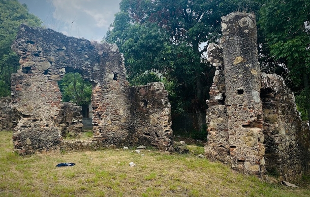ruinas_de_bique_.jpg ruinas_de_bique_.jpg