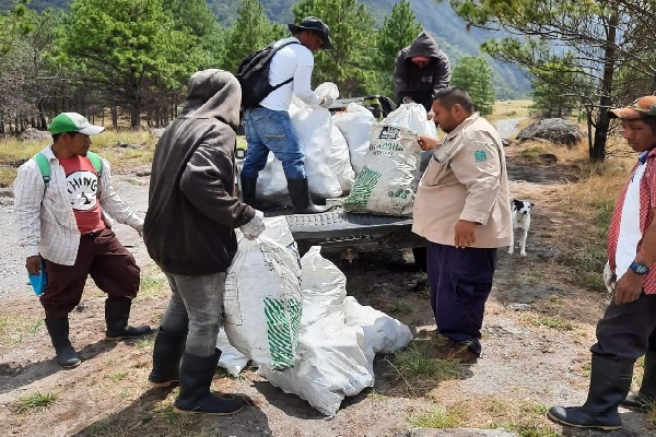 Se llevó a cabo un operativo de limpieza en el Parque Nacional Volcán Barú. Foto. José Vásquez Se llevó a cabo un operativo de limpieza en el Parque Nacional Volcán Barú. Foto. José Vásquez