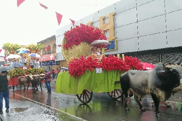 Durante todo el fin de semana, se efectuaron actividades y manifestaciones culturales y folclóricas del Chitré de antaño, así como cabalgatas y presentaciones artísticas en tarima. Foto. Thays Domínguez Durante todo el fin de semana, se efectuaron actividades y manifestaciones culturales y folclóricas del Chitré de antaño, así como cabalgatas y presentaciones artísticas en tarima. Foto. Thays Domínguez
