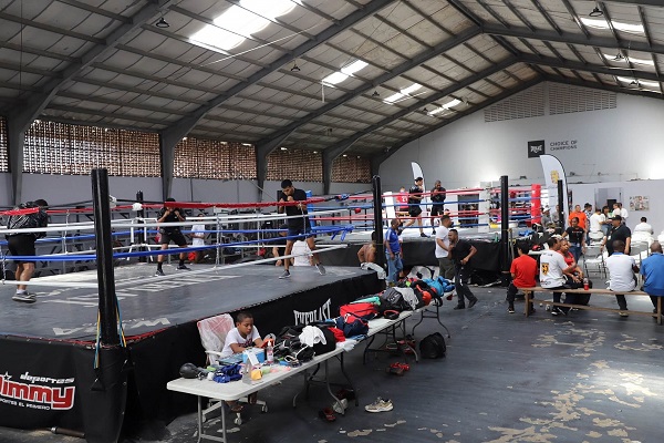 gimnasio_pedro_rockero_alcalzar_3.jpg