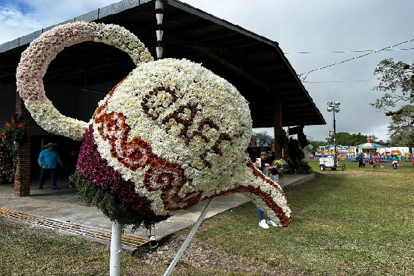 Otro de los atractivos es la Parada de las Flores, este año se llevó a cabo su séptima versión. FOTO/ JOSÉ VÁSQUEZ Otro de los atractivos es la Parada de las Flores, este año se llevó a cabo su séptima versión. FOTO/ JOSÉ VÁSQUEZ