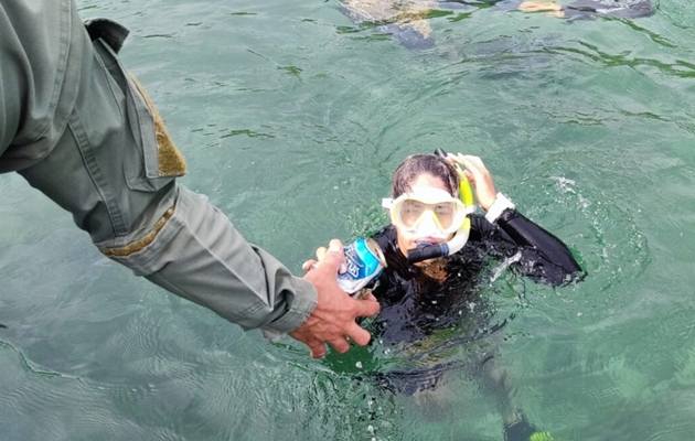 MiAmbiente realizando inspección submarina y vigilancia en Venas Azules en Colón / Foto de MiAmbiente.