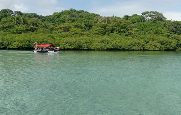 Venas Azules en Colón / Foto de MiAmbiente.