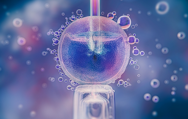 in_vitro_pa3jpg.jpg in_vitro_pa3jpg.jpg