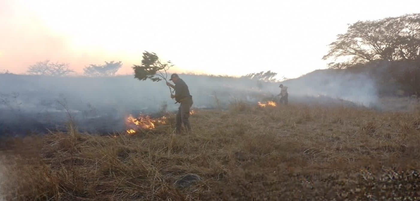 Los incendios de masa vegetal han ido en aumento. Foto. Cortesía Los incendios de masa vegetal han ido en aumento. Foto. Cortesía
