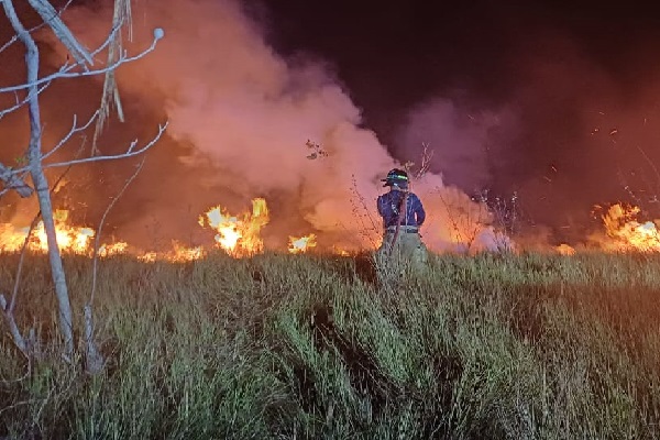 Los 13 miembros de este equipo solo disponen de bombas de mochila, rastrillo McLeod, hacha-azada y mata fuego, entre otros. Foto. Cortesía Los 13 miembros de este equipo solo disponen de bombas de mochila, rastrillo McLeod, hacha-azada y mata fuego, entre otros. Foto. Cortesía