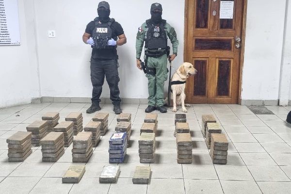 Los estupefacientes están en custodia de la Policía Nacional para que forme parte de las pruebas de investigación judicial por contaminación con drogas los contenedores. Foto. Policía Nacional Los estupefacientes están en custodia de la Policía Nacional para que forme parte de las pruebas de investigación judicial por contaminación con drogas los contenedores. Foto. Policía Nacional