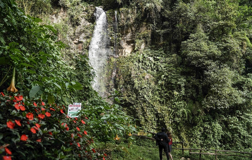 En Boquete se pueden recorrer rutas especializadas para observar aves, entre las cuales destaca el llamativo ‘quetzal’. Foto: Aleksandar Popovski/Unsplash En Boquete se pueden recorrer rutas especializadas para observar aves, entre las cuales destaca el llamativo ‘quetzal’. Foto: Aleksandar Popovski/Unsplash