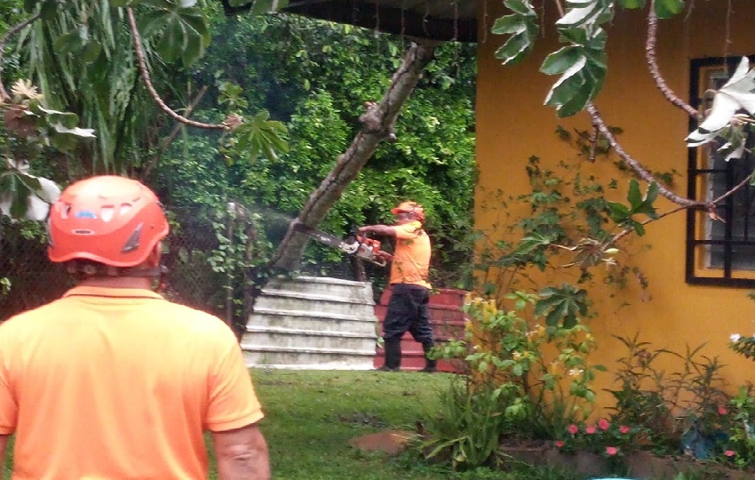 Una de las viviendas afectdas en Veraguas por la caída de un árbol. Foto. Sinaproc Una de las viviendas afectdas en Veraguas por la caída de un árbol. Foto. Sinaproc
