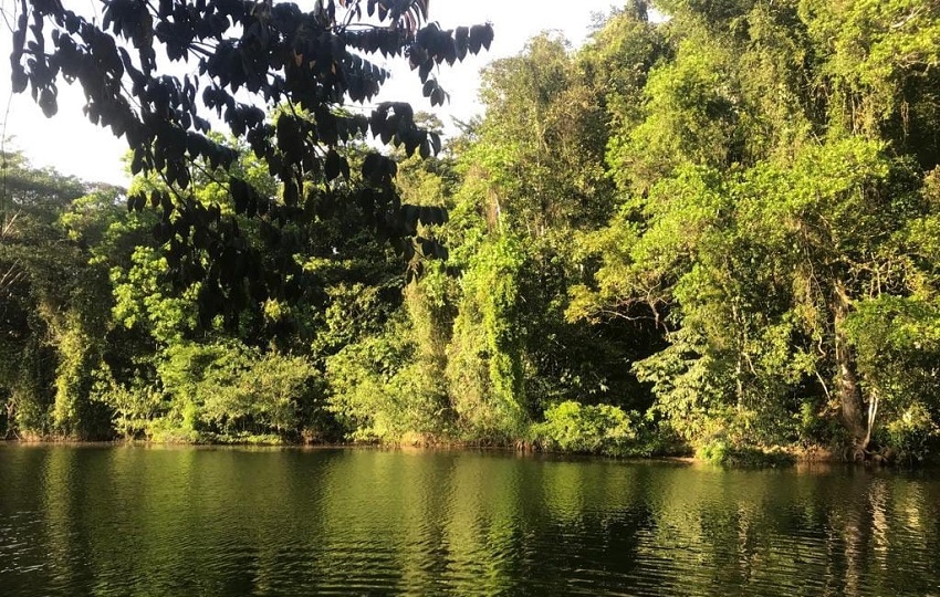 rumbos-rio-boqueron.jpg rumbos-rio-boqueron.jpg