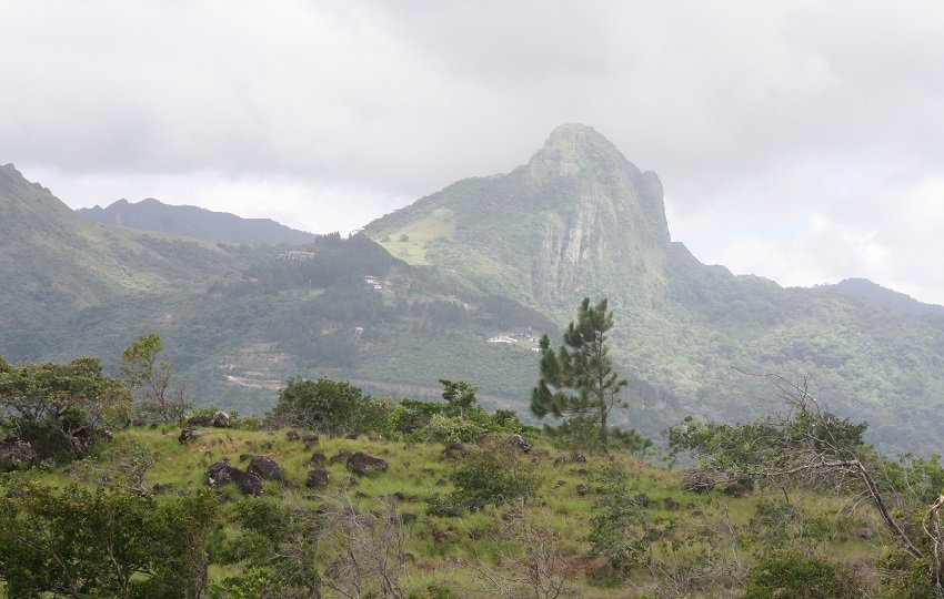 En Cirí Grande, corregimiento de El Cacao, entre las montañas de Capira, Cristina Sánchez de Miranda, una emprendedora turística, opera el restaurante “El Mirador”. Foto. Eric Montenegro En Cirí Grande, corregimiento de El Cacao, entre las montañas de Capira, Cristina Sánchez de Miranda, una emprendedora turística, opera el restaurante “El Mirador”. Foto. Eric Montenegro