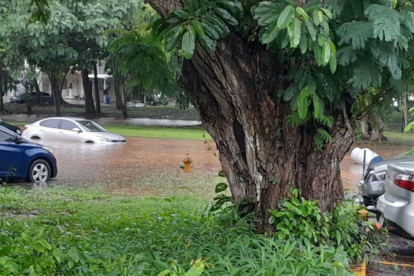 lluvias_caidas_de_arboles_anegacion_sinaproc-panama.jpg lluvias_caidas_de_arboles_anegacion_sinaproc-panama.jpg