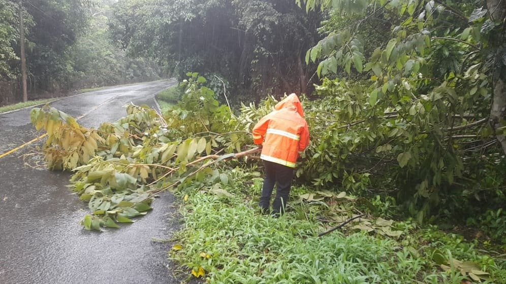 lluvias_caidas_de_arboles_anegacion_sinaproc.jpg lluvias_caidas_de_arboles_anegacion_sinaproc.jpg