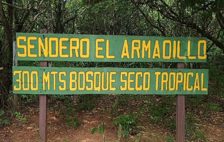 sarigua-reporte_2.jpg