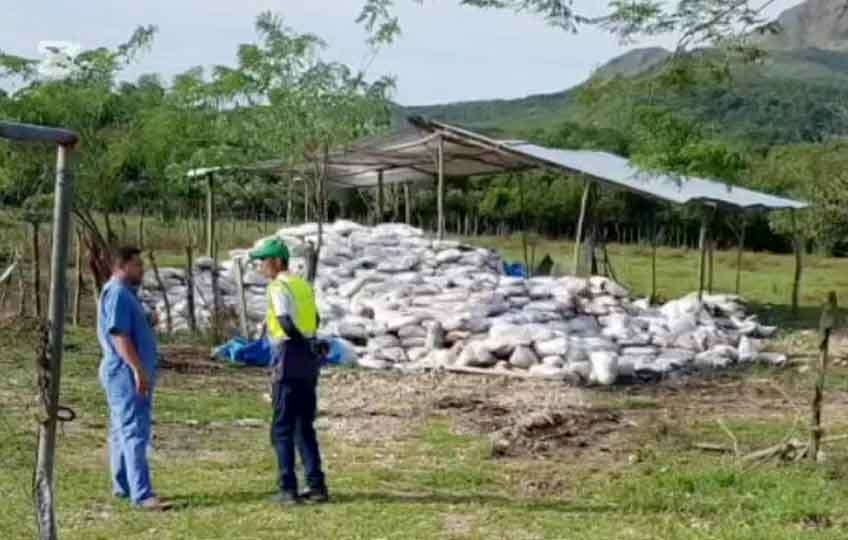 Vecinos se quejaban por los desagradables olores provenientes de la finca. Fotos Eric Montenegro Vecinos se quejaban por los desagradables olores provenientes de la finca. Fotos Eric Montenegro