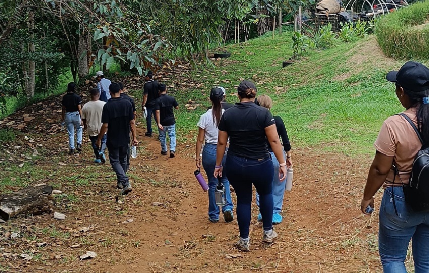 En Finca “La Vieja Molienda”, indica Espinosa, los visitantes tienen opciones de senderismo, hidroponía, el proceso postcosecha del café y agricultura circular. En Finca “La Vieja Molienda”, indica Espinosa, los visitantes tienen opciones de senderismo, hidroponía, el proceso postcosecha del café y agricultura circular.