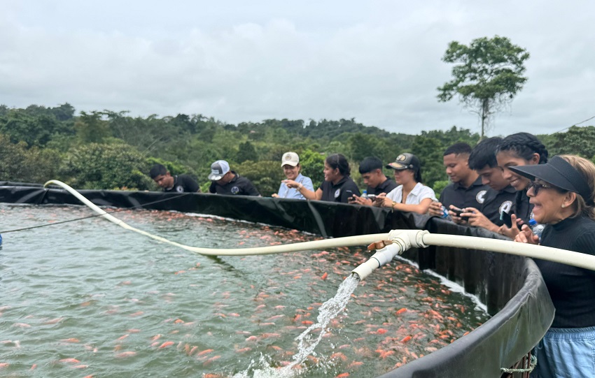 En Finca “La Vieja Molienda”, indica Espinosa, los visitantes tienen opciones de senderismo, hidroponía, el proceso postcosecha del café y agricultura circular. En Finca “La Vieja Molienda”, indica Espinosa, los visitantes tienen opciones de senderismo, hidroponía, el proceso postcosecha del café y agricultura circular.