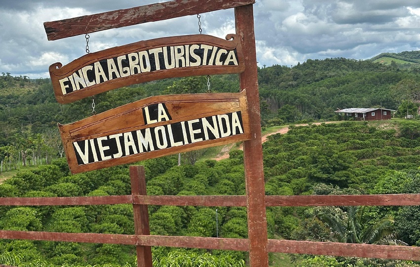 En Finca “La Vieja Molienda”, indica Espinosa, los visitantes tienen opciones de senderismo, hidroponía, el proceso postcosecha del café y agricultura circular. En Finca “La Vieja Molienda”, indica Espinosa, los visitantes tienen opciones de senderismo, hidroponía, el proceso postcosecha del café y agricultura circular.