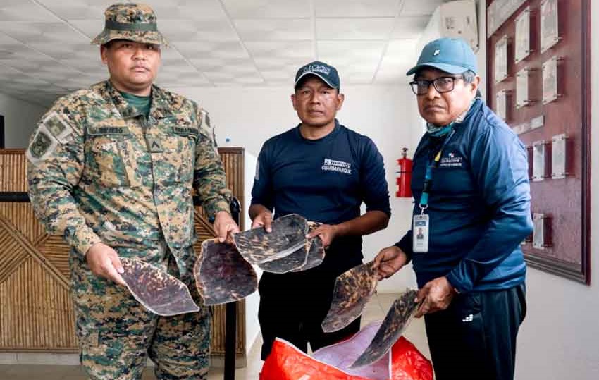 tortuga.jpg tortuga.jpg
