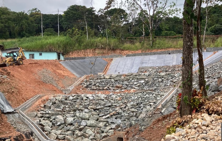 guarumal_1.jpg guarumal_1.jpg