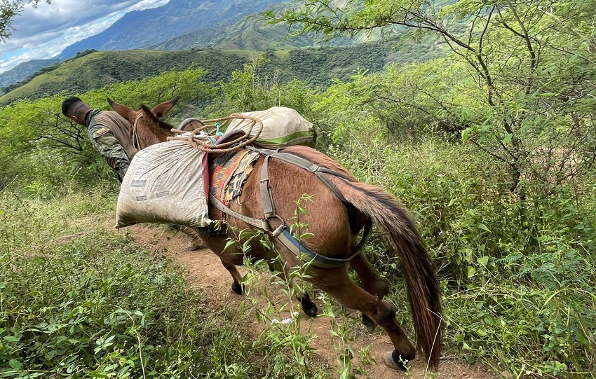 desmantela_mineria_ilegal_ecuador_1_0.jpg desmantela_mineria_ilegal_ecuador_1_0.jpg