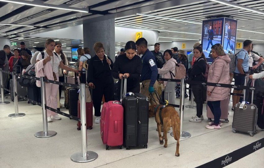 firulais_mida_aeropuerto_2.jpg firulais_mida_aeropuerto_2.jpg