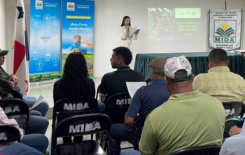 recomendacion_mida_cocle.jpg recomendacion_mida_cocle.jpg