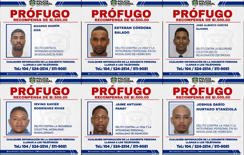 profugo-2.jpg profugo-2.jpg