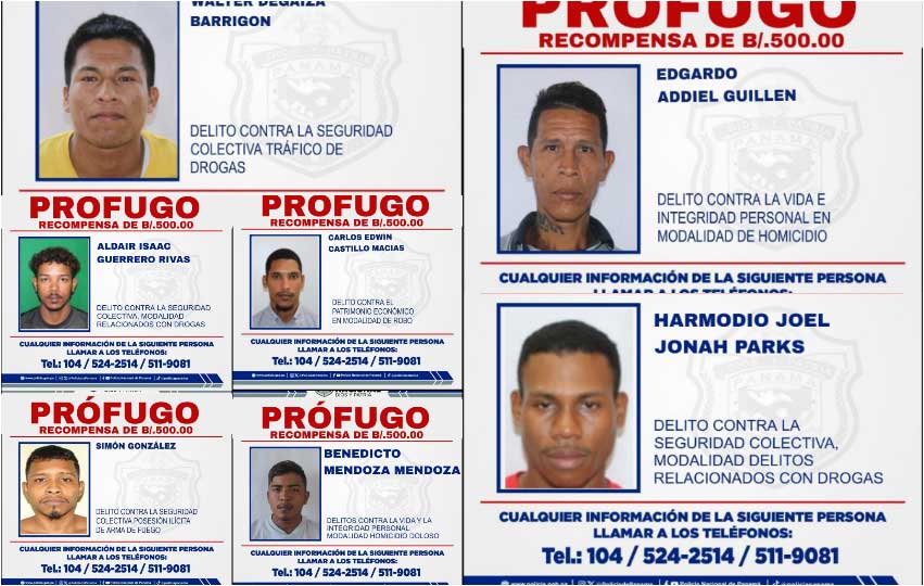 profugo-3.jpg profugo-3.jpg