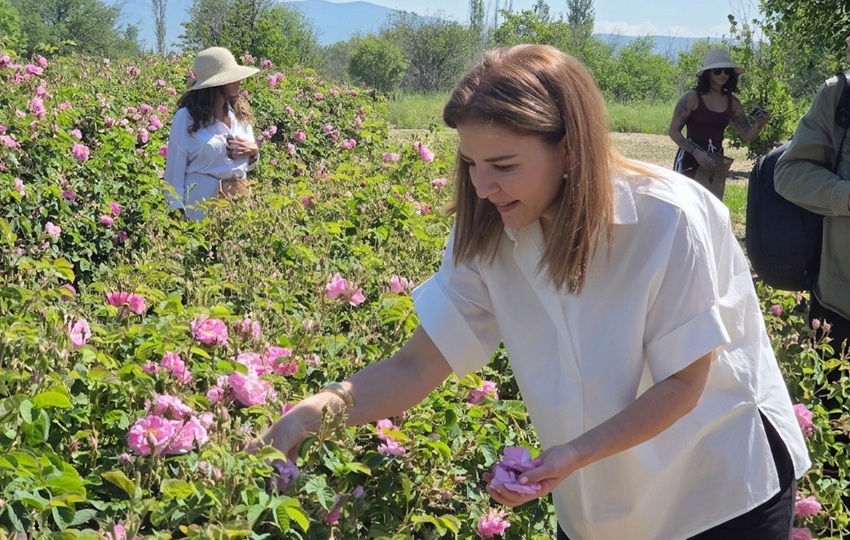Gulsah Gurkan muestra cómo se recolecta una rosa.
