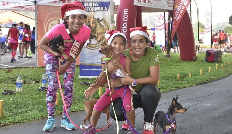 Mascotas también participan del evento.