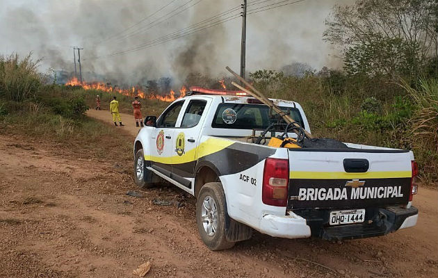 El mundo exige salvar la Amazonía, "pulmón del planeta" asfixiado en llamas Incendio en la amazonía brasileña, en Porto Velho, capital del estado amazónico de Rondonia. Foto: EFE.