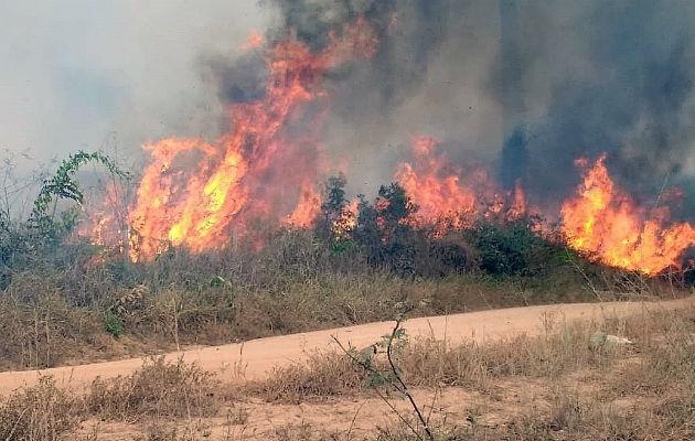 Un gran avión cisterna hace su primer vuelo para mitigar incendios en Bolivia Bosques y pastizales han sido afectadas por los incendios. Foto: EFE.