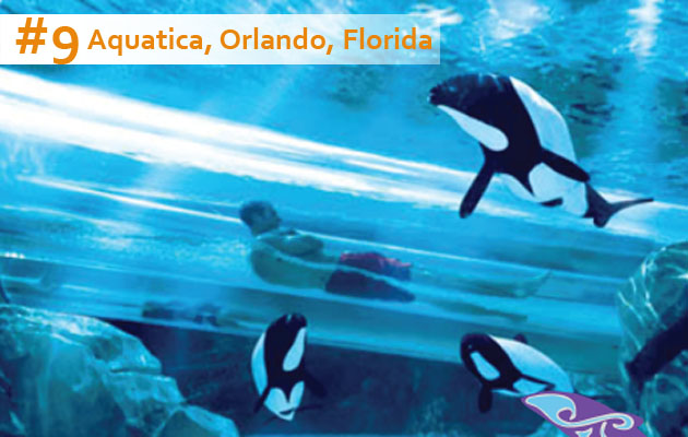 Aquatica Orlando FLA