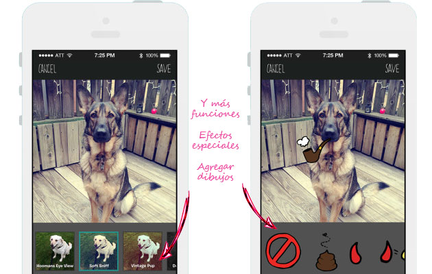 Otra captura de la pantalla de BarkCam