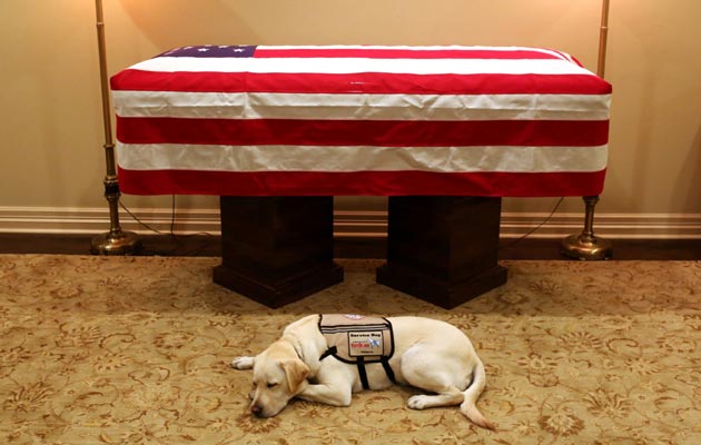 Sully, acompañó al expresidente hasta el último momento George H.W. Bush. FOTO/AP Sully, acompañó al expresidente hasta el último momento George H.W. Bush. FOTO/AP