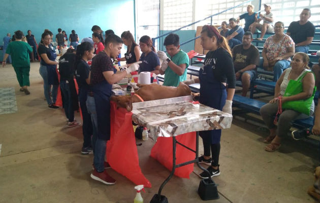 Jornada de esterilización en el Coco de La Chorrera. También se desparasitan y limpian los oídos. Foto: Luis Ávila.