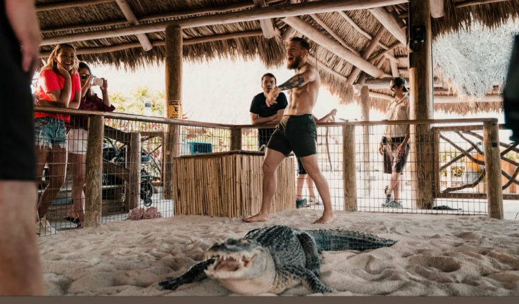 Conor McGregor frente al caimán Foto @thenotoriousmma Conor McGregor frente al caimán Foto @thenotoriousmma