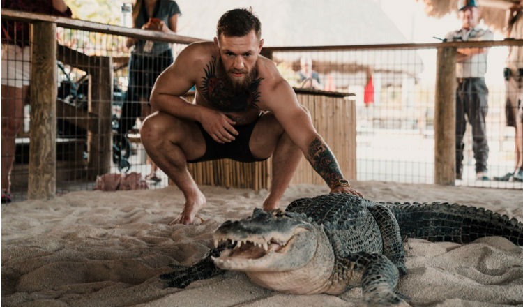 Conor McGregor frente al caimán Foto @thenotoriousmma Conor McGregor frente al caimán Foto @thenotoriousmma